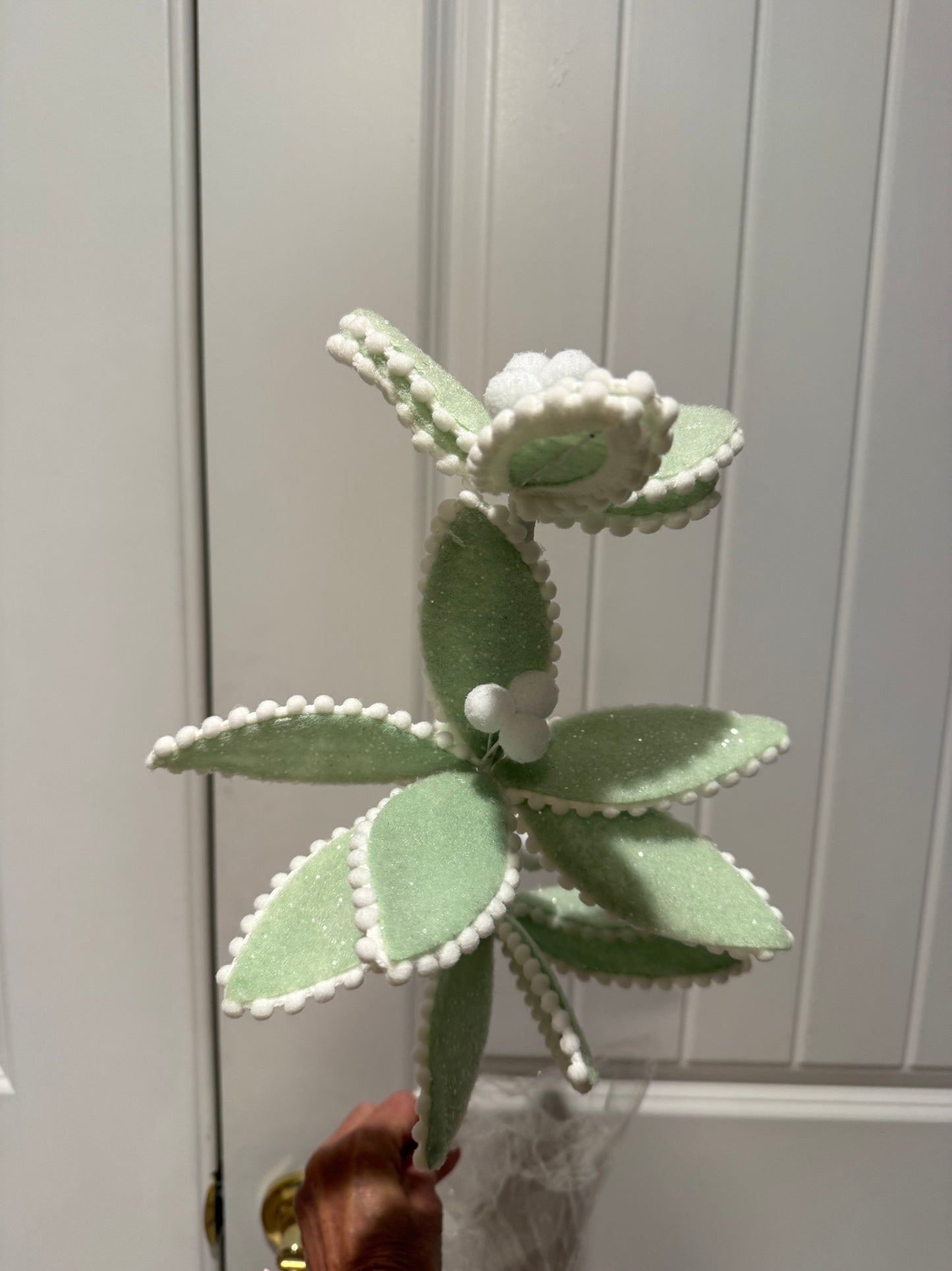 Pastel Green Frosted Triple Candy Poinsettia Stem