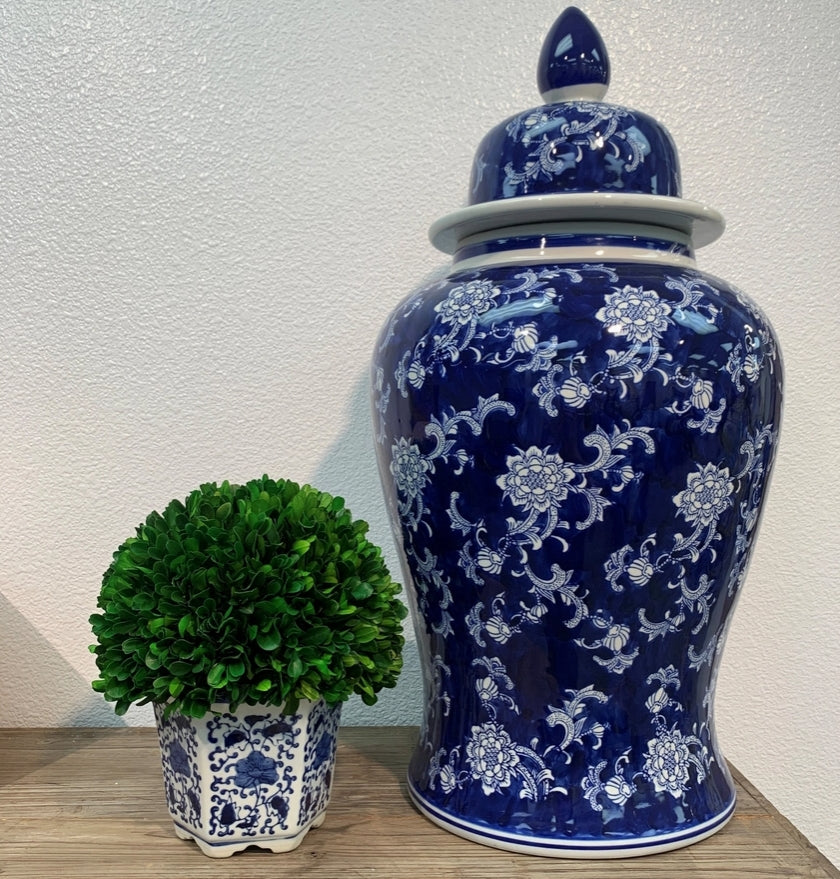 Preserved Boxwood Ball in Ceramic Pot