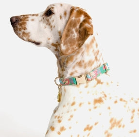 Lilly Pulitzer Dog Collar Crazy Quilt Small/Medium
