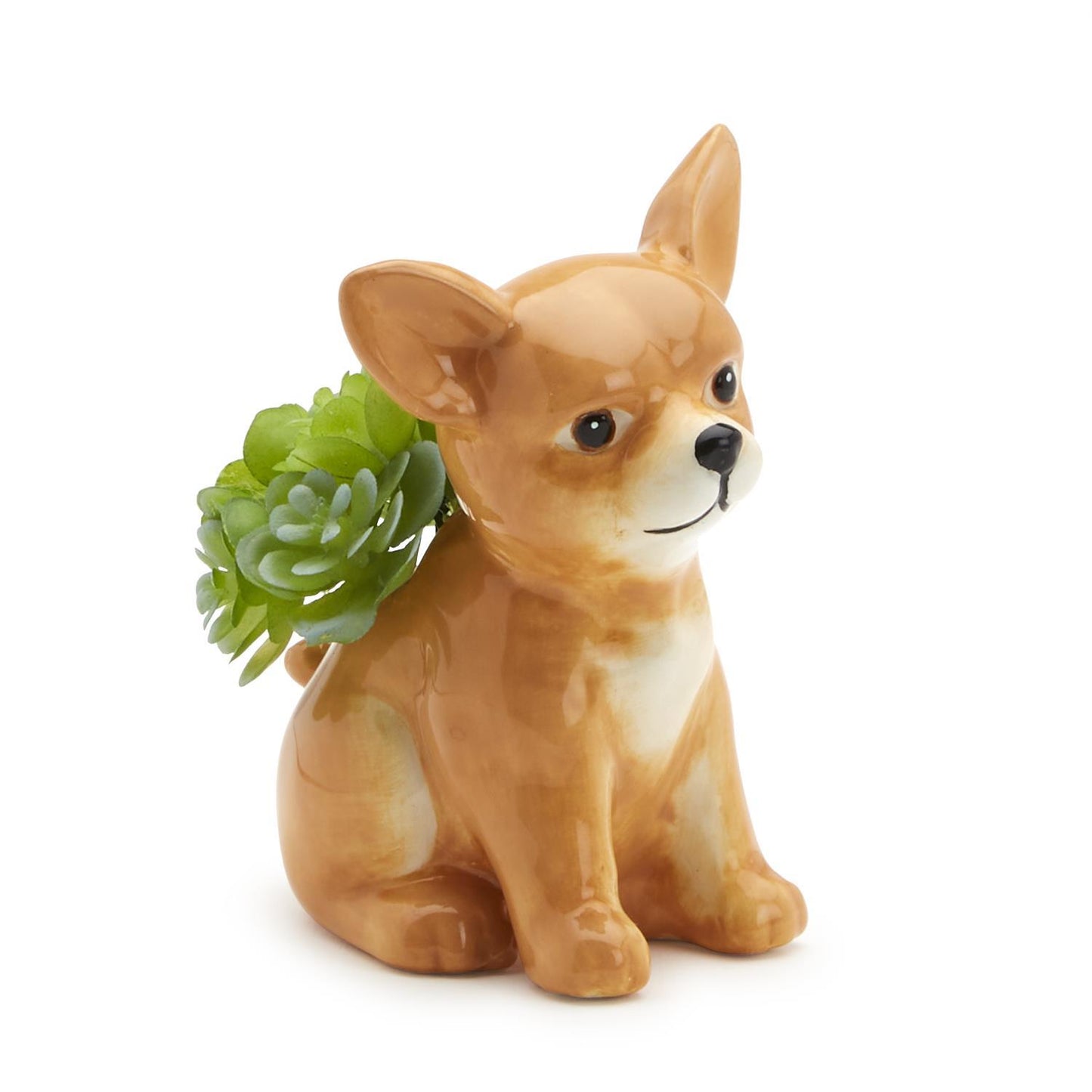 Dog Pick Holder with 20 Picks in Gift Box Assorted 3 Designs Westie, Chihuahua, Frenchie