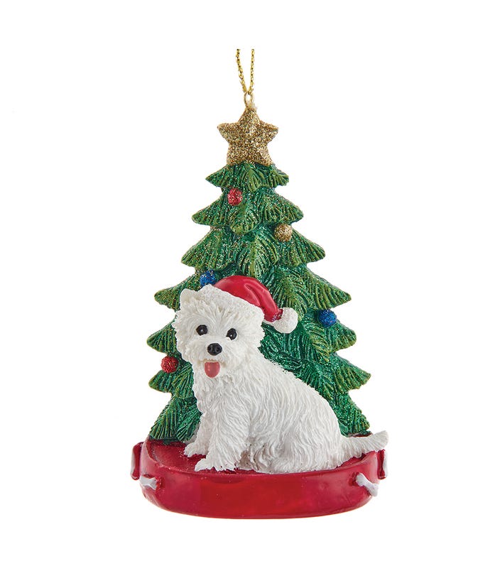 Highland Terrier With Christmas Tree Ornament