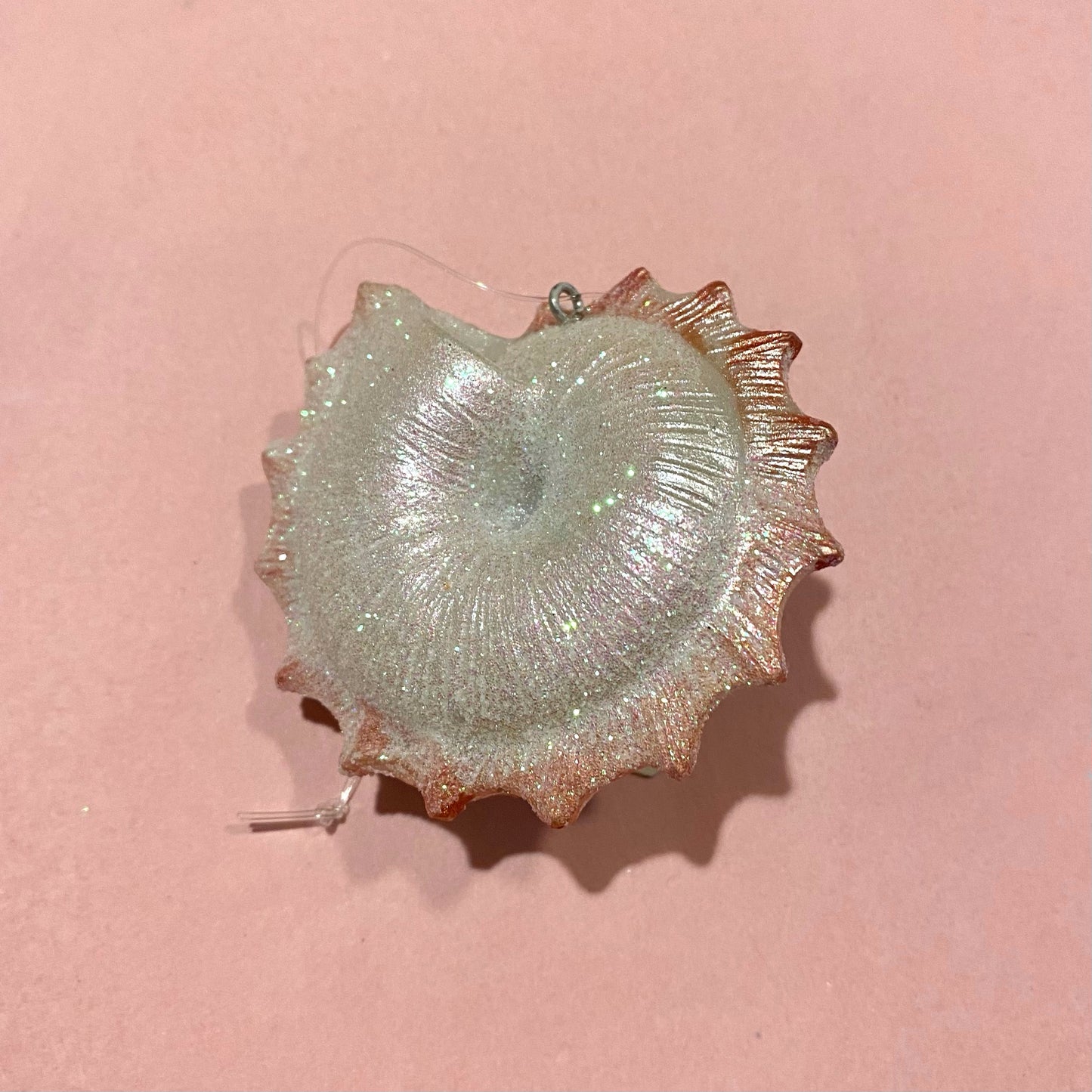Seashell Ornaments: Set of Three