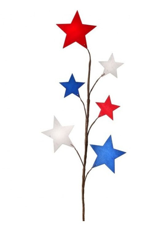 Patriotic Star Spray