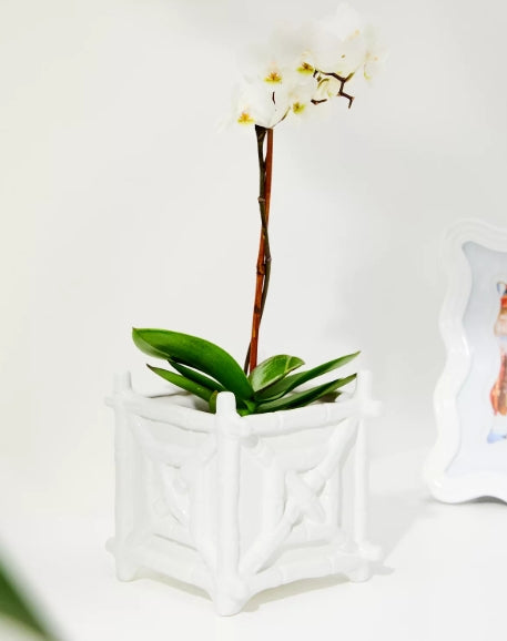 Lilly Pulitzer Resort White Bamboo Square Planter