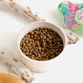 Lilly Pulitzer Pet Bowl, Sun Tiles Home