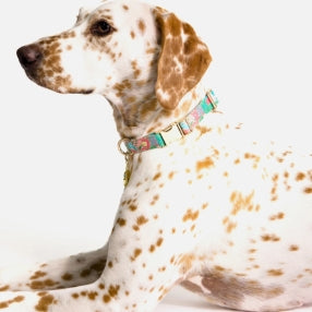 Lilly Pulitzer Dog Collar Crazy Quilt Small/Medium