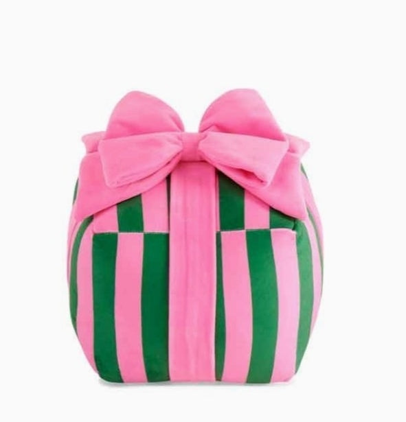 Pink & Green Stripe Gift Box Medium Pillow