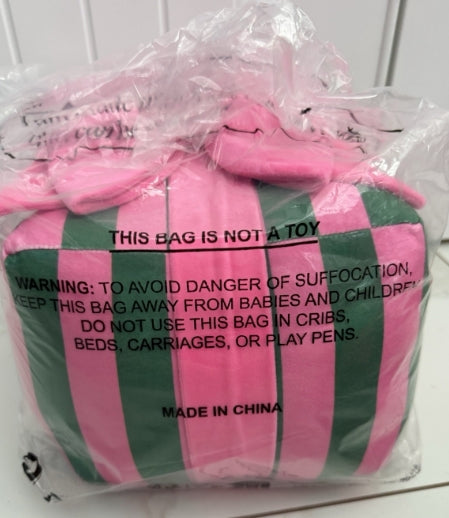 Pink & Green Stripe Gift Box Medium Pillow