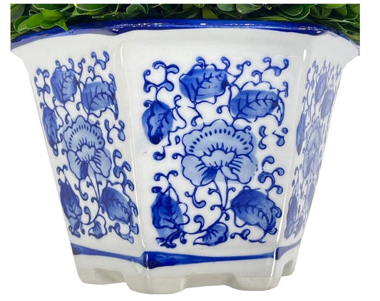 Preserved Boxwood Ball in Ceramic Pot