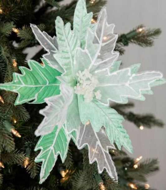 24" Sheer/Velvet Green Candy Poinsettia Stem