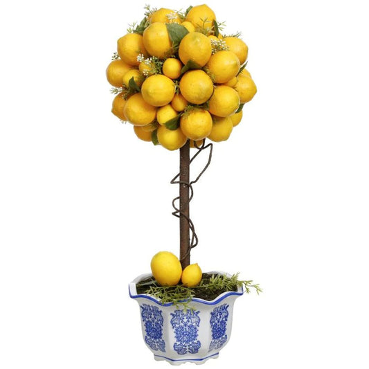 Potted Lemon Topiary, 23.5"