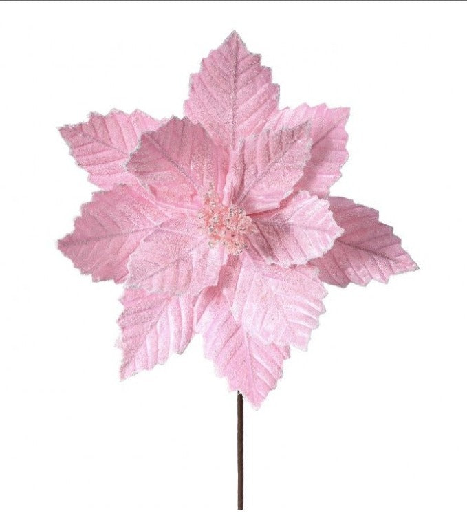 Pink Sugared Poinsettia Stem