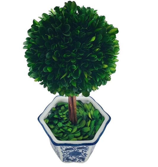 Boxwood Ball Tree in Ceramic Pot