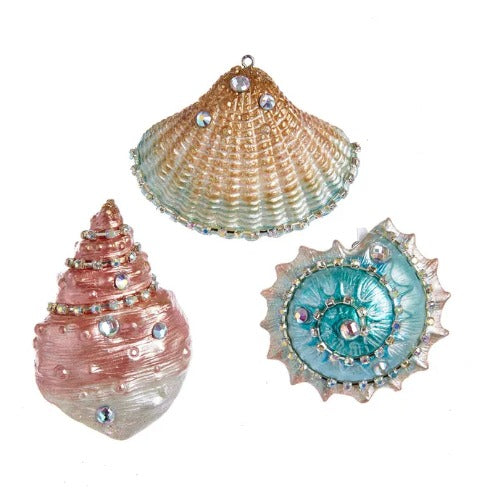 Seashell Ornaments: Set of Three