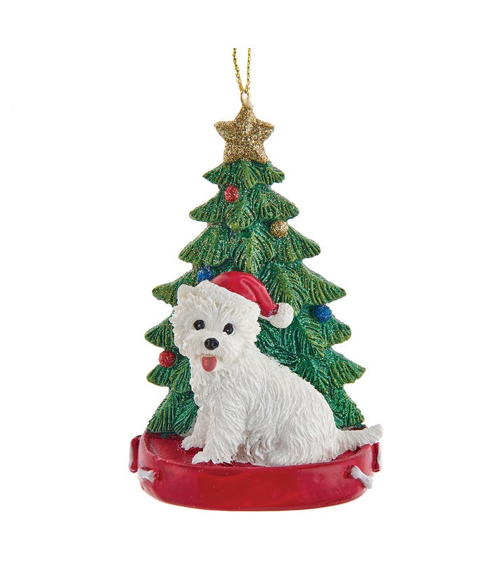 Highland Terrier With Christmas Tree Ornament