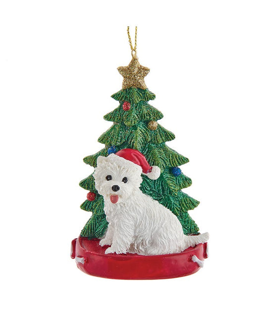 Highland Terrier With Christmas Tree Ornament