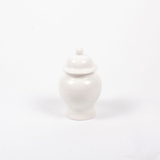 Ginger White Jar (S, L, or XL)